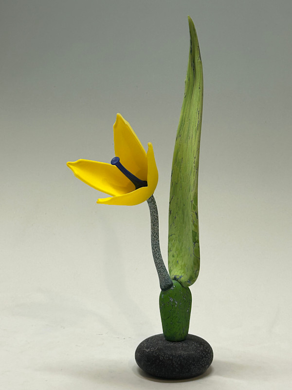 Gold Lily by Nolan Prohaska