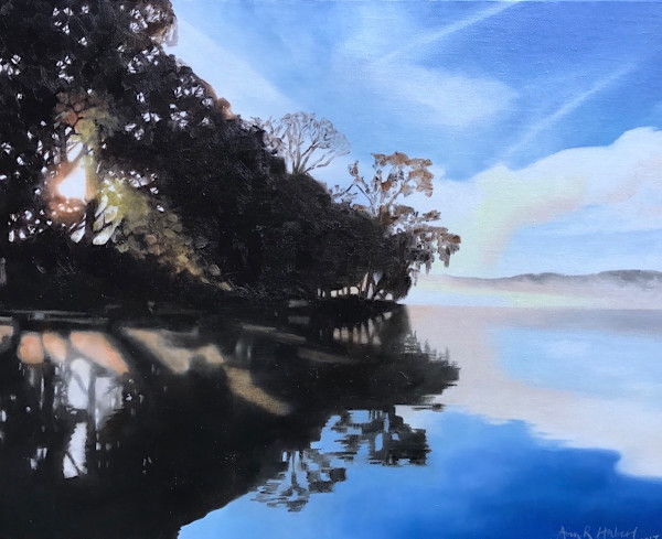Dawn Mist by Ann Haberl