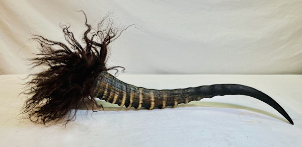 Horn Brush 1 by Katherine Engen