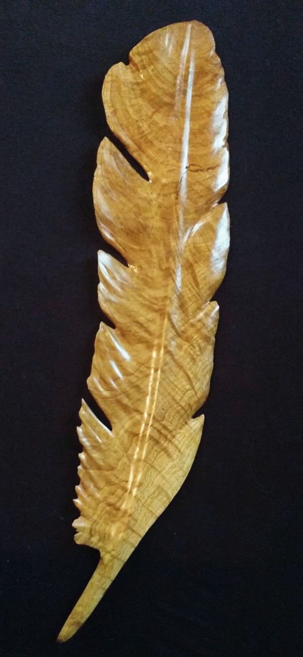 Large Feather by Homer Daehn