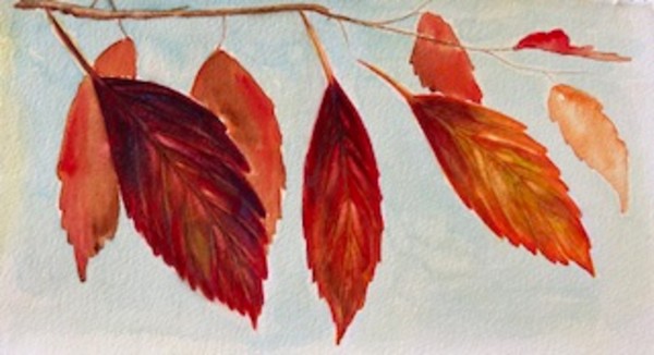 Leaves by Ruthann Corrao