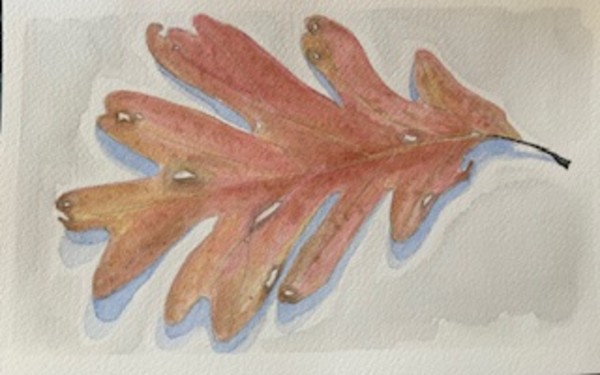 Oak Leaf by Ruthann Corrao