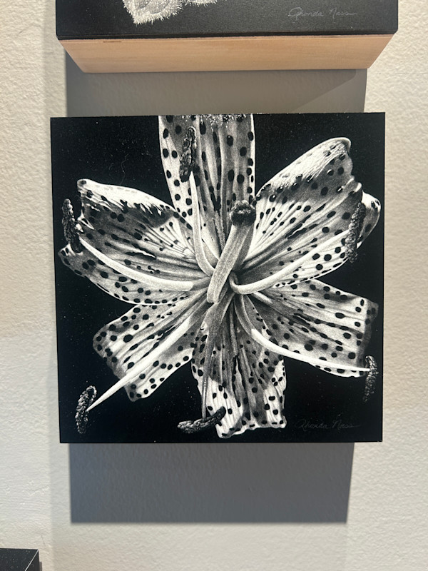 The Extraordinary Ordinary (Archival Print) by Rhonda Nass, Image 1.