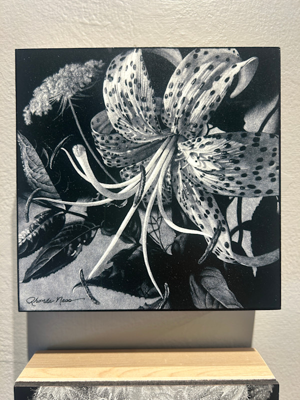 Tiger Lily at Play (Archival Print) by Rhonda Nass, Image 1.