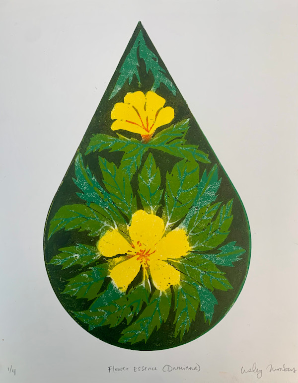 Flower Essence (Damiana) by Lesley Anne Numbers