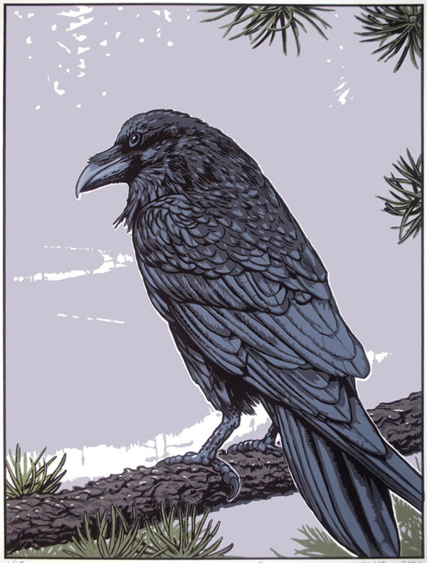 Gaagaagi, the Raven by John Miller