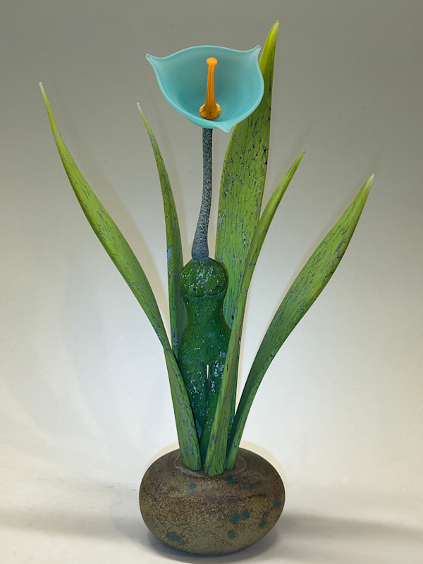 Mother Nature by Nolan Prohaska