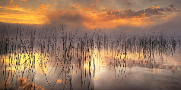 Pastel Morning by Mike Murray