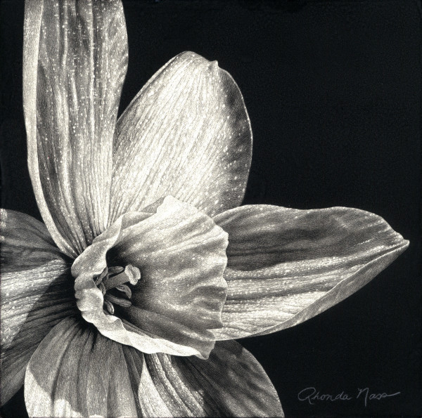 Sparkling Daffodil (Original) by Rhonda Nass