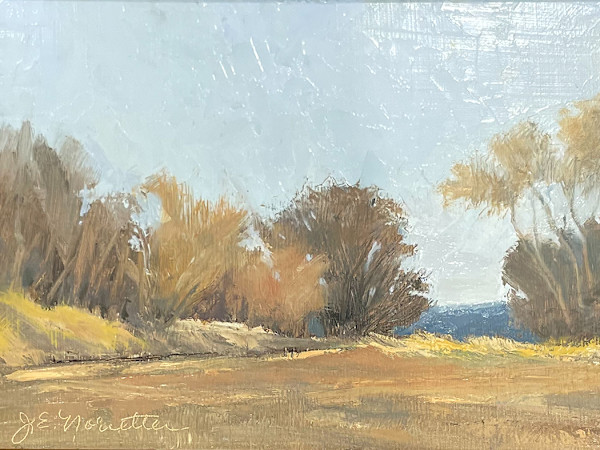 Spring Bluster on a Warm Afternoon - Salmo Pond by Jan Norsetter