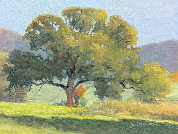 Taliesin: Inside Summer by Jan Norsetter