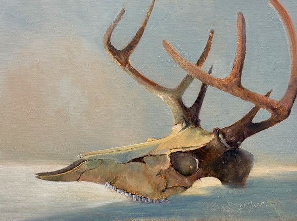 Scully by Jan Norsetter