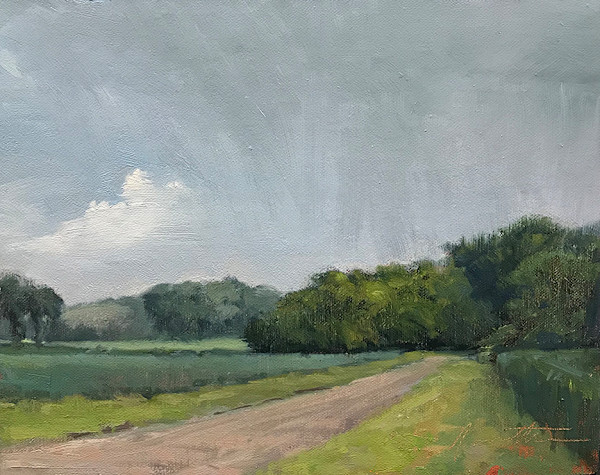 Morning: and the Rain Came Out by Jan Norsetter