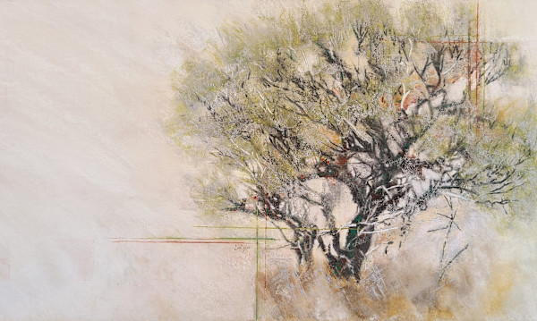 Old Cottonwood by Roberta Condon