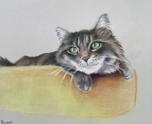 Cheshire Cat by Diane Pellowe