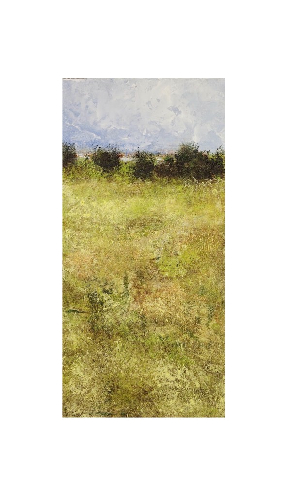 Prairie Oasis by Rick Ross