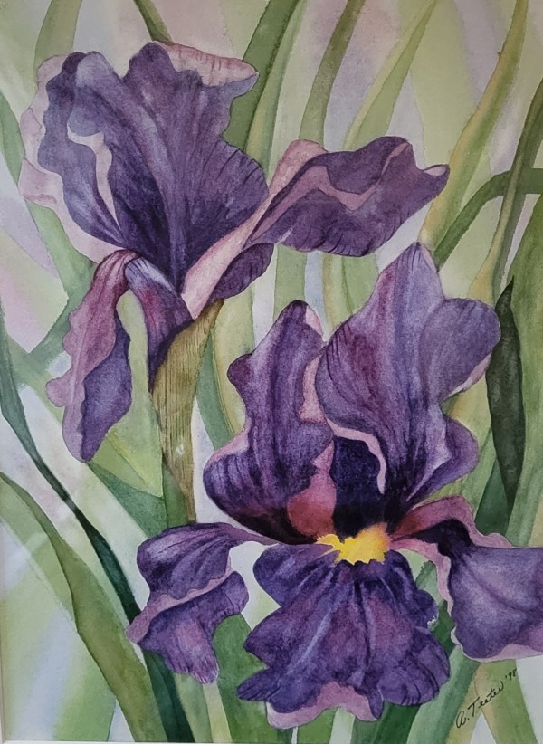 Purple Passion Iris by Elizabeth Ann Teeter