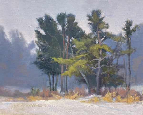 Whispering White Pines (Framed original) by Jan Norsetter