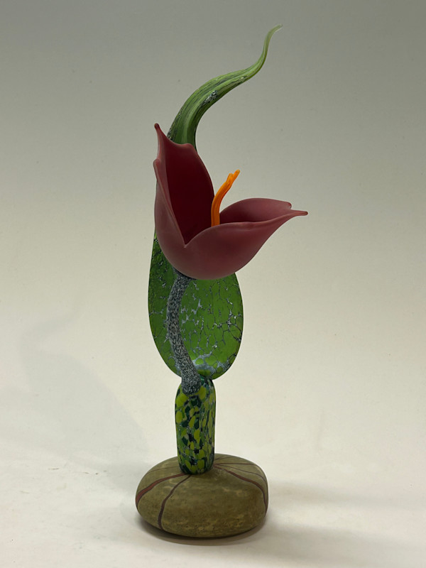 Scarlet Snap by Nolan Prohaska