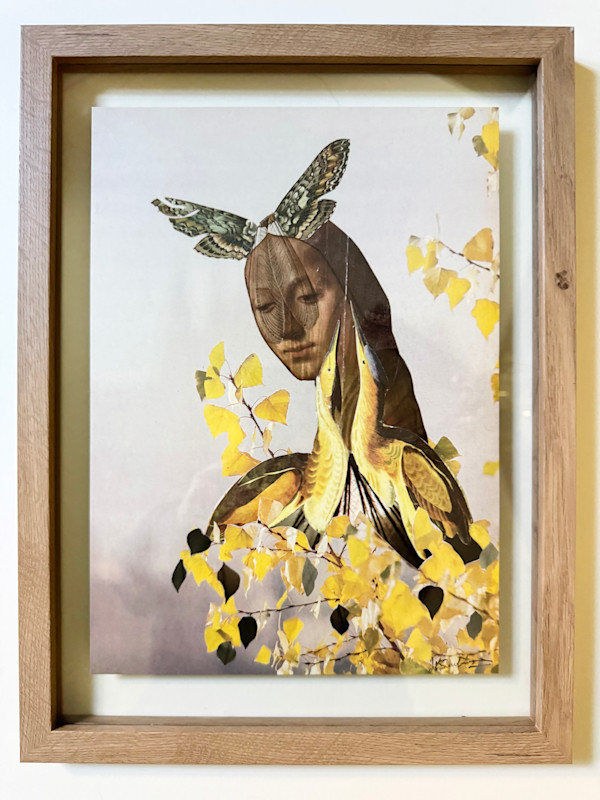 Her Veiled Crown by Jen Schultz