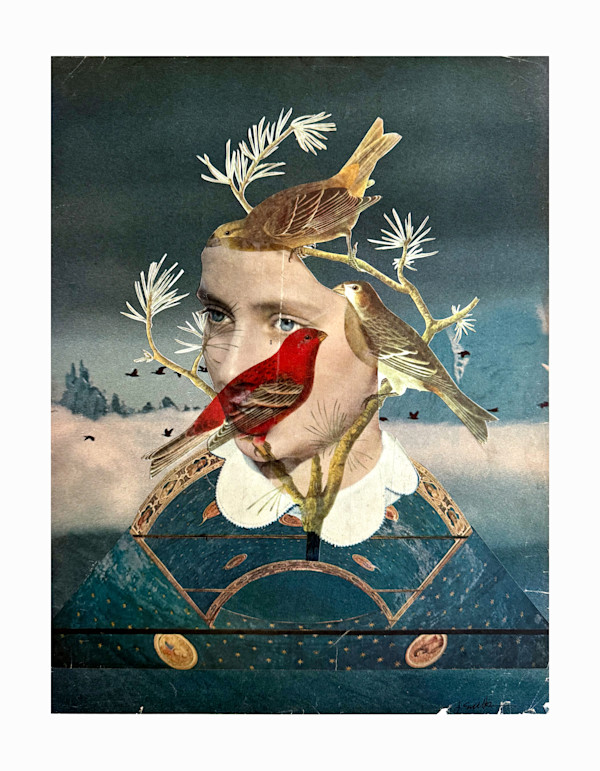 She Sees Birds by Jen Schultz