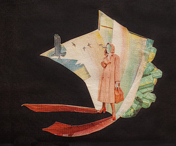 Where the Birds Begin by Jen Schultz