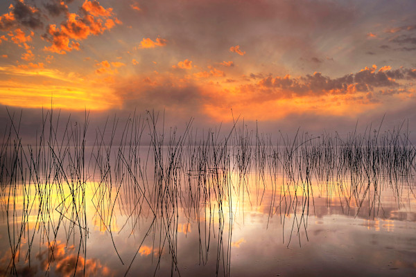 Summer Sunrise by Mike Murray