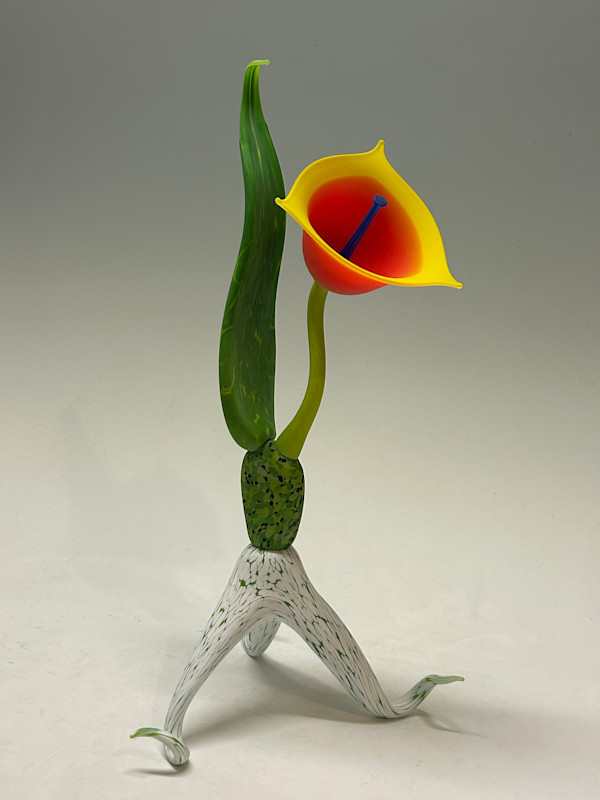 Sunrise Trillium by Nolan Prohaska