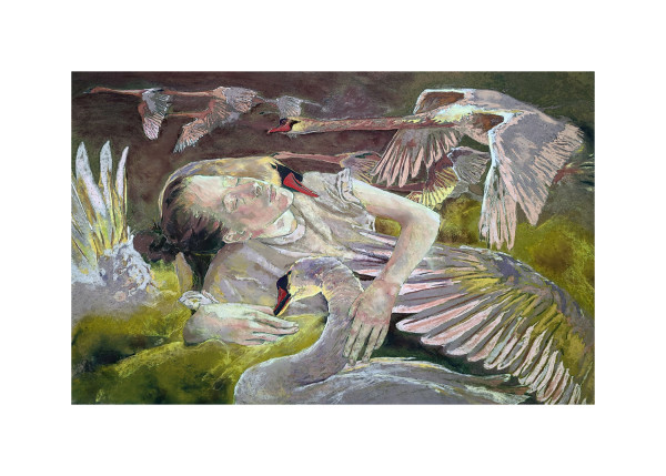 Swooning with the Swans (Unframed print) by Roberta Condon