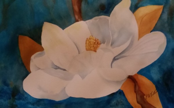 White Magnolia by Elizabeth Ann Teeter