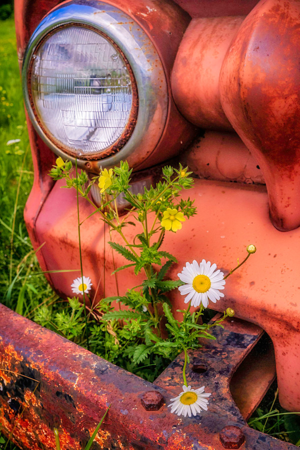 Daisy Truck by Mike Murray