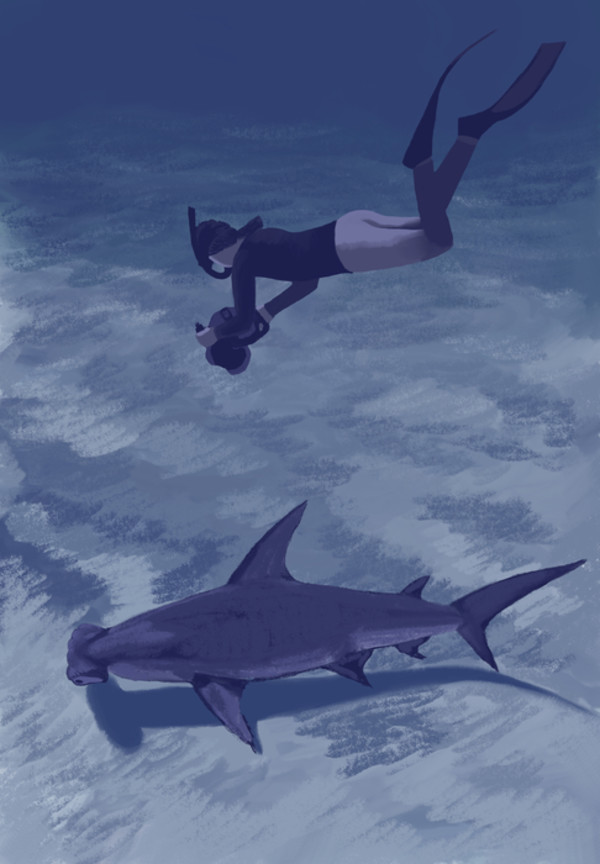 Great Hammerhead Encounter by Brigitte Boucher