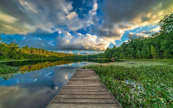 Wisconsin Summer by Mike Murray