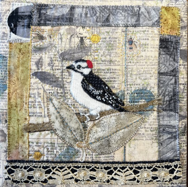 Downy Woodpecker by Cynthia Quinn