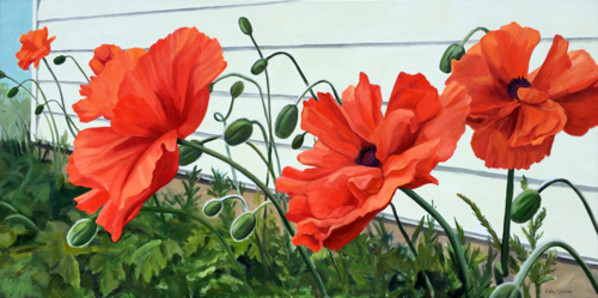 Poppy Row by Kathy Armstrong