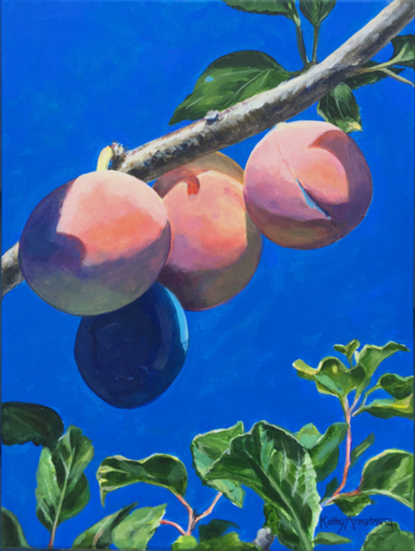 Ripening Plums by Kathy Armstrong