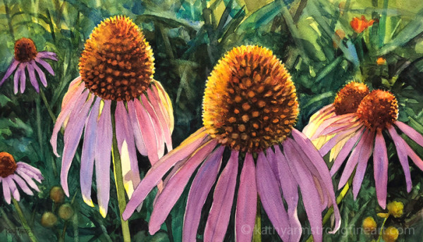 Purple Coneflowers by Kathy Armstrong