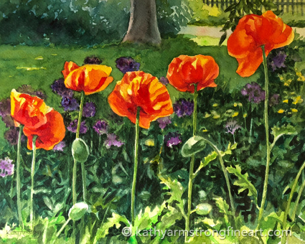 Showing Off (Poppies) by Kathy Armstrong