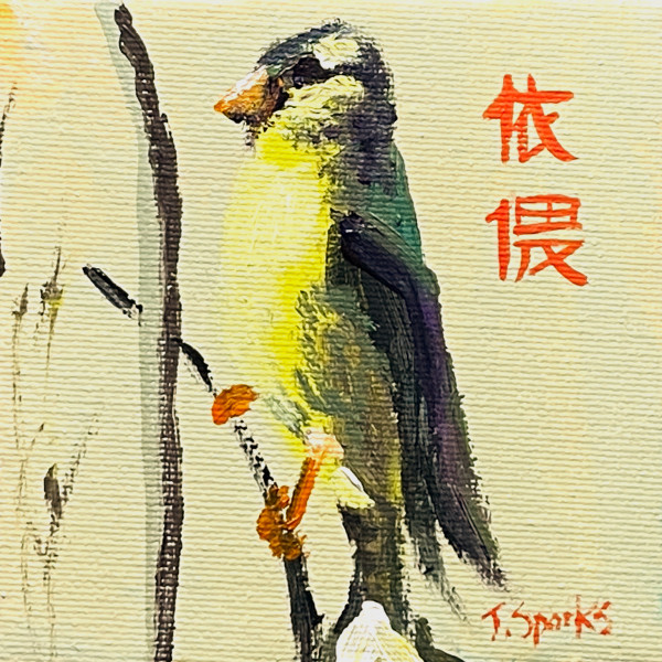 4" x 4" (Backyard Birds) "American Goldfinch" Chinese Inscription: "To Snuggle" by Jeffery Sparks
