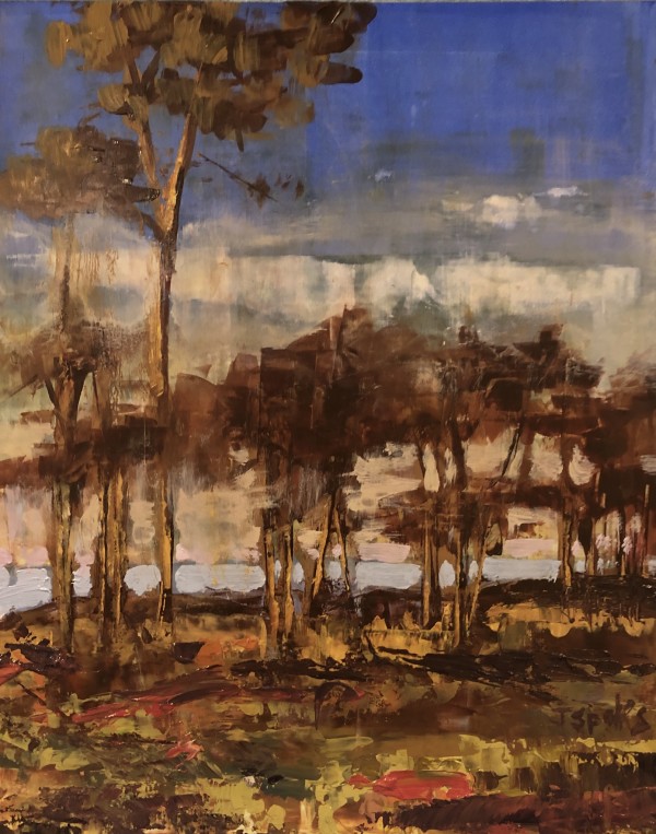 Coastal Pines (Hilton Head Island) by Jeffery Sparks