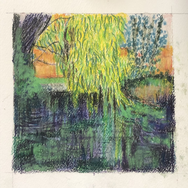 Weeping willow by CLARE SMITH