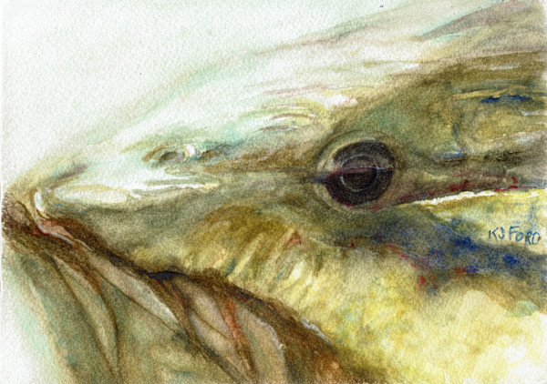 Bass Reflections by Katherine J Ford, Image 1.