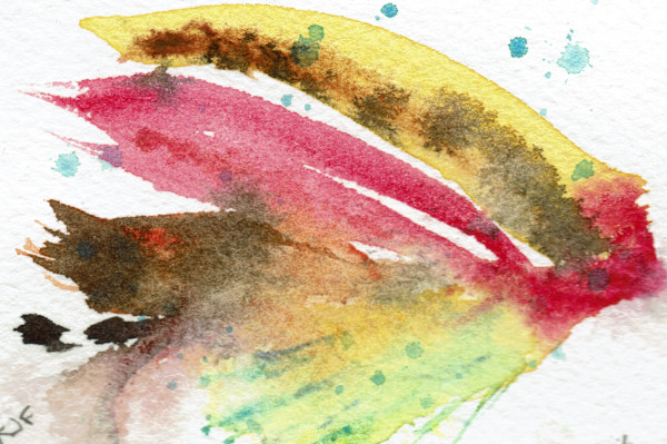 Charger Abstract Watercolor Salmon Fly by Katherine J Ford, Image 1.