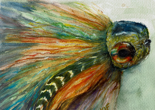 Eye Spy Musky Fly Watercolor by Katherine J Ford, Image 1.