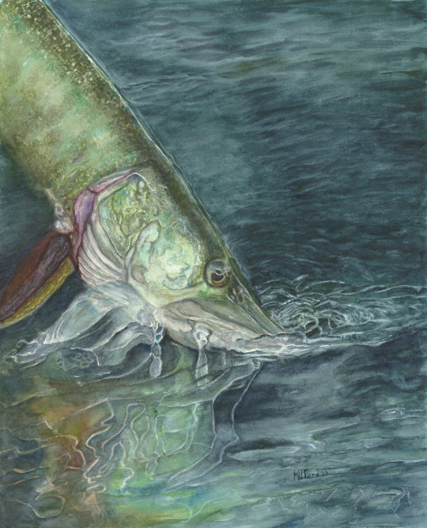 Musky Release by Katherine J Ford