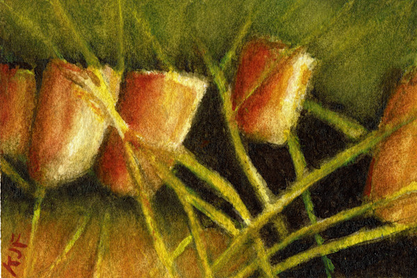 Pre-season Poppers by Katherine J Ford, Image 1.