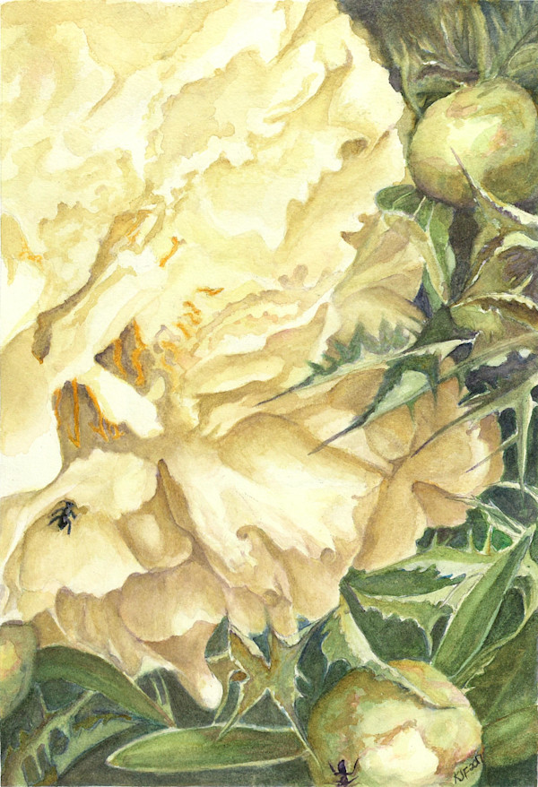 Pricks and Petals by Katherine J Ford, Image 1.