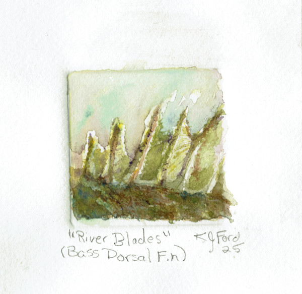 River Blades (Bass Dorsal Fin) by Katherine J Ford