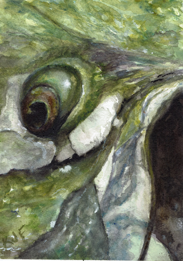 Unfamiliar Waters by Katherine J Ford, Image 1.