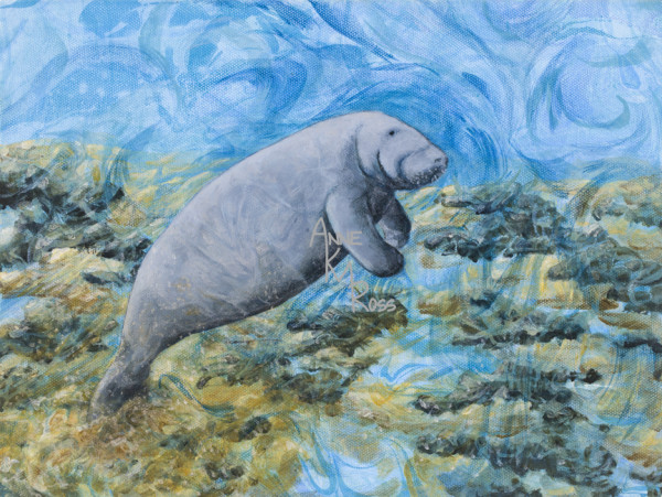 Silt and a Manatee by Anne KM Ross